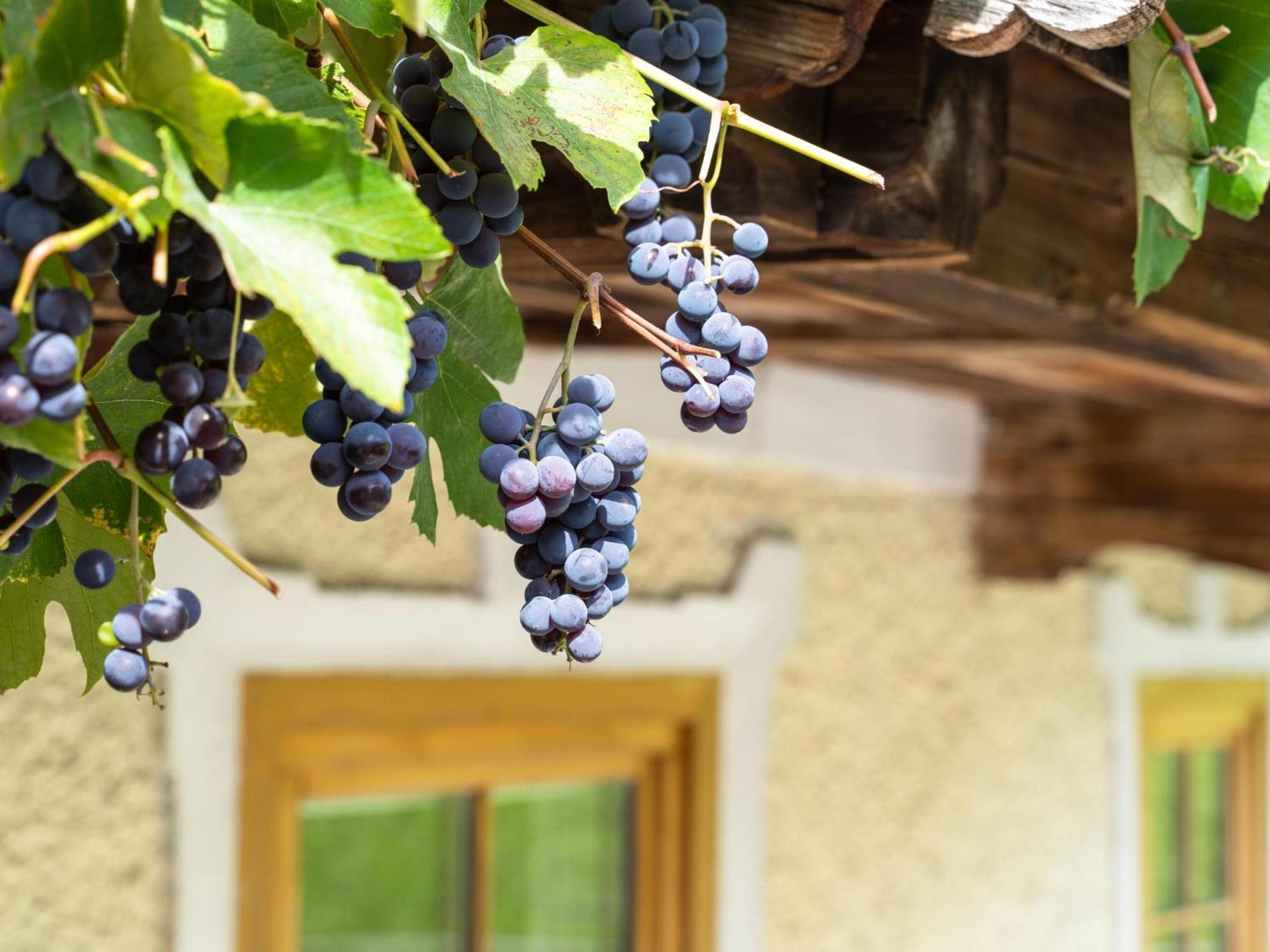 Chalet Anna Bruck am Ziller Dış mekan fotoğraf